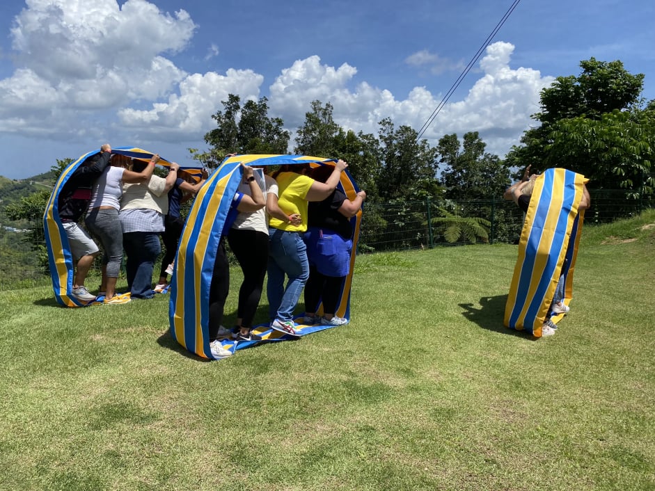 Dr. Meléndez Consulting Team Building